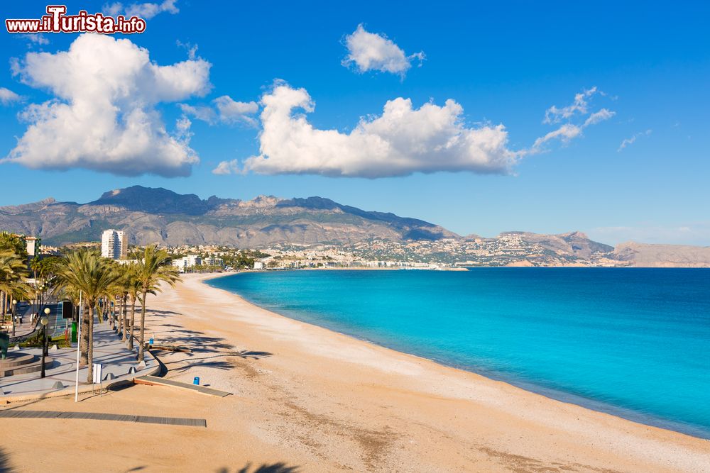 Immagine Altea Playa del Albir a Alicante, Spagna: fra le più belle spiagge della Costa Blanca, questa piccola baia regala acque cristalline.
