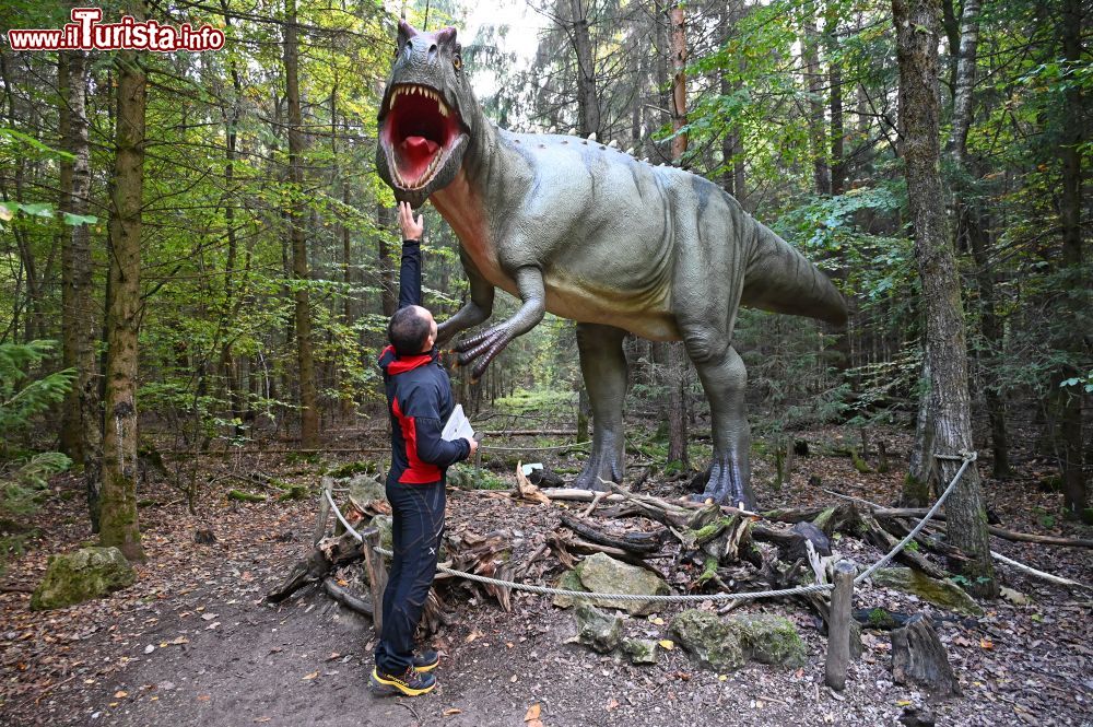 Immagine Altmuhltal, il Dino Park della Baviera  - © foto: Sonja Vietto Ramus e Massimo Valentini