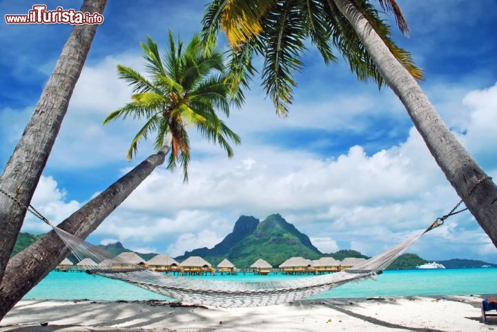 Immagine Isola di Bora Bora, Arcipelago della Società, Polinesia Francese: si poteva scegliere un posto migliore per piazzare un'amaca all'esterno di un resort di lusso? Sopra la testa le palme, e all'orizzonte, dopo il mare trasparentissimo, la sagoma fiera del vulcano spento Otemanu  - © wilar / Shutterstock.com