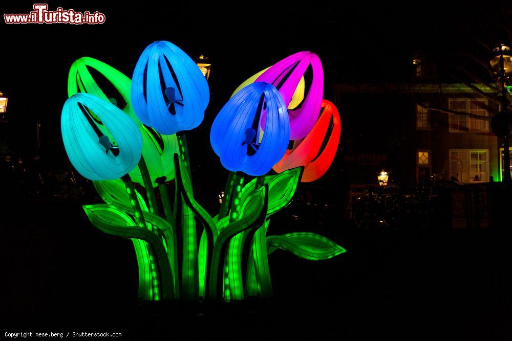 Immagine Amsterdam, Olanda: un'installazione luminosa in occasione dell'Amsterdam Light Festival, che si svolge ogni anno in inverno - foto © mese.berg / Shutterstock.com