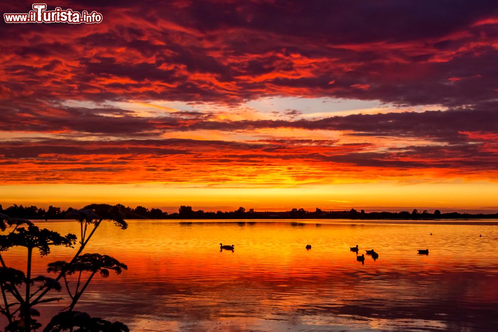 Immagine Anatre in uno stagno al tramonto sul lago Zoetermeerse Plas a Zoetermeer, Olanda.