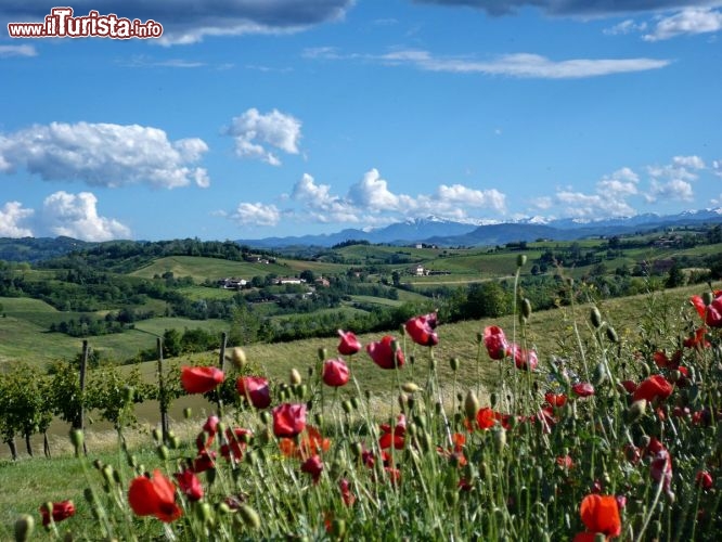 Immagine Andar per collina, escursione a Castelvetro di Modena durante la Rassegna Gusto natura Cultura, evento da non perdere in primavera