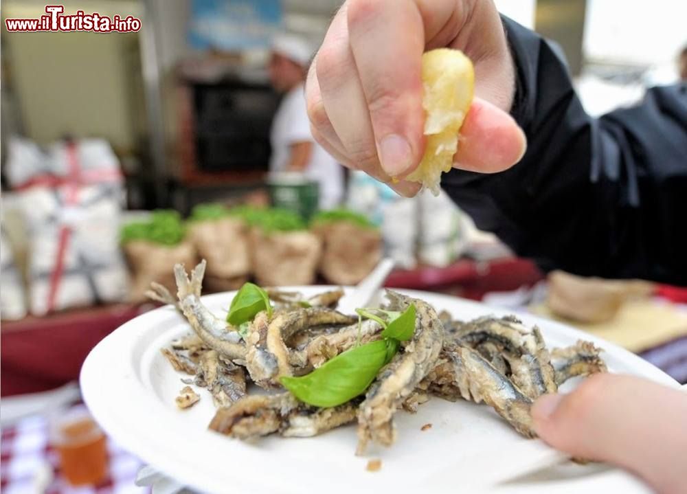 Immagine Andora Liguria: Pesce Azzurro d'autore, la manifestazione di primavera