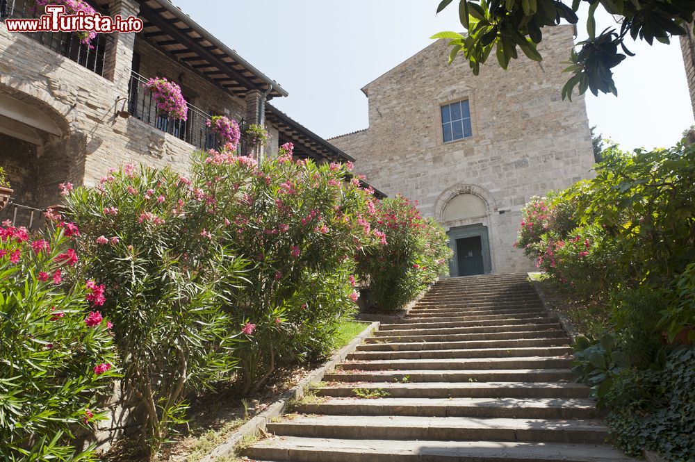 Immagine L'antica chiesa di Bevagna, Umbria, Italia. A fare da cornice alla scalinata che conduce all'edificio religioso sono delle profumate piante di oleandro.