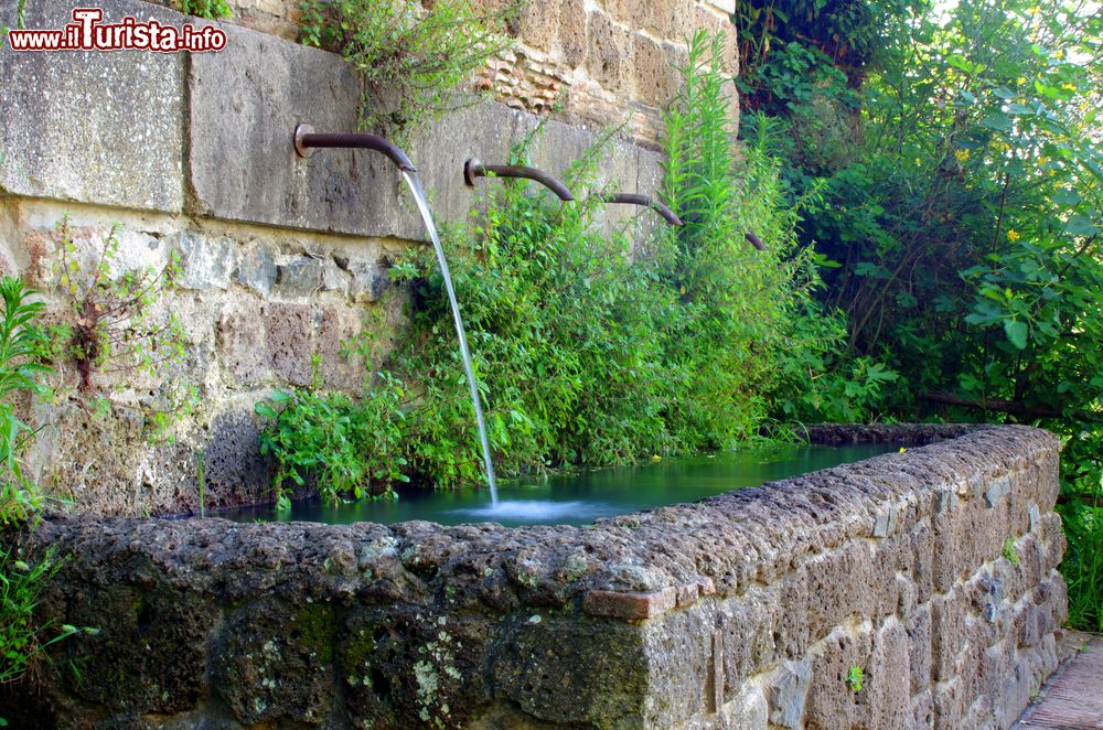 Immagine Antica fontana dell'acqua al Parco di Canale Monterano, Roma, Lazio.