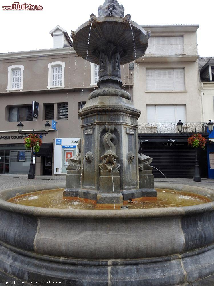 Immagine Antica fontana in pietra in Place du Marcadal a Lourdes, Francia. Sullo sfondo la facciata di edifici - © Dan Shachar / Shutterstock.com