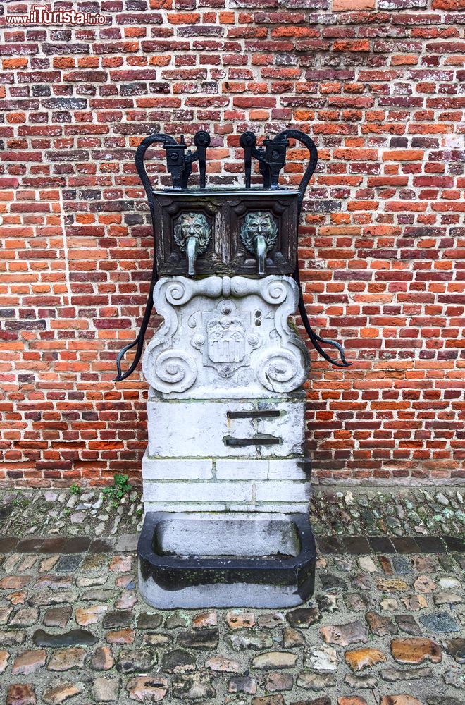 Immagine Antica fontana nel quartiere storico Grand Beguinage a Leuven, Fiandre, Belgio.