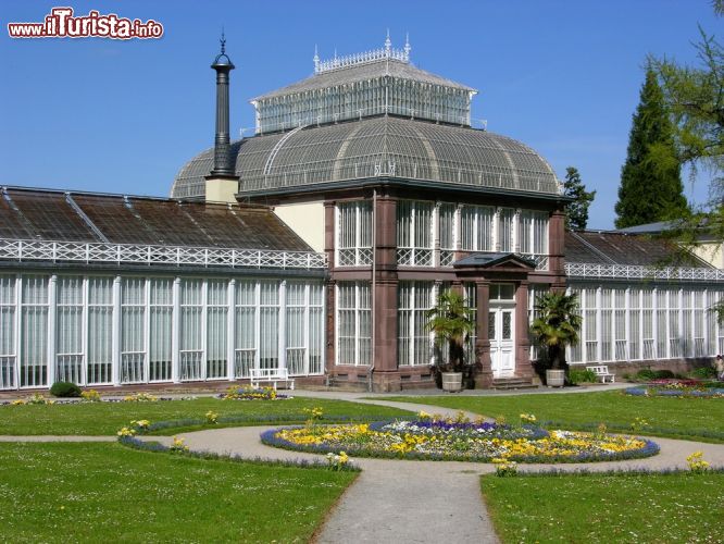 Immagine Antica serra a Kassel, Germania - Piante e fiori crescono al riparo di una delle serre della città tedesca di Kassel © Robert Biedermann / Shutterstock.com