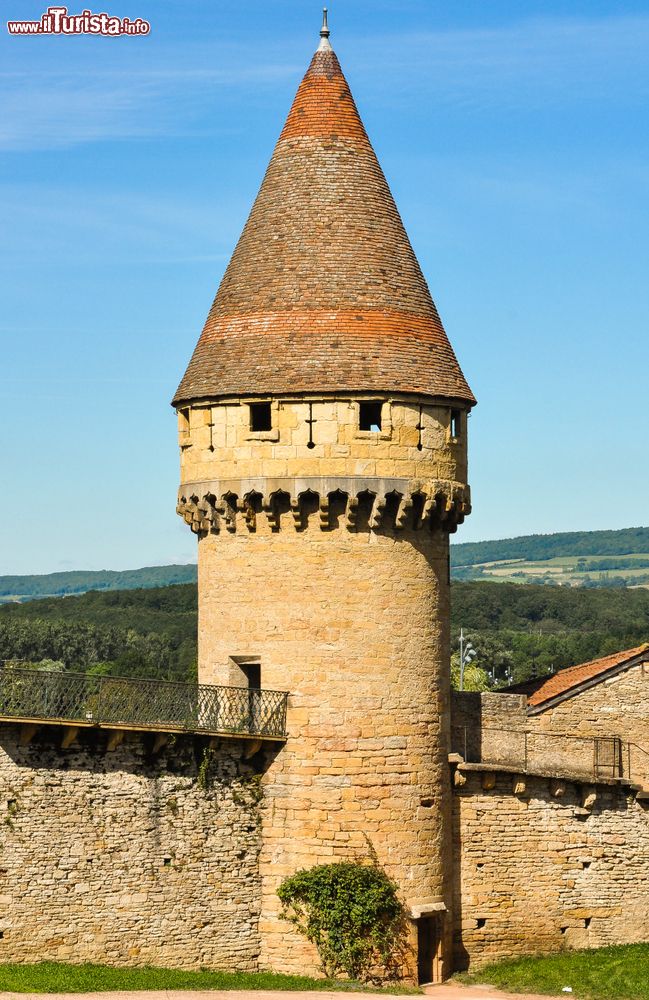 Immagine Antica torre di guardia dell'abbazia di Cluny, Francia. Rinunciando a qualsiasi diritto personale, Guglielmo I° mise il monastero sotto la diretta autorità del Papa.