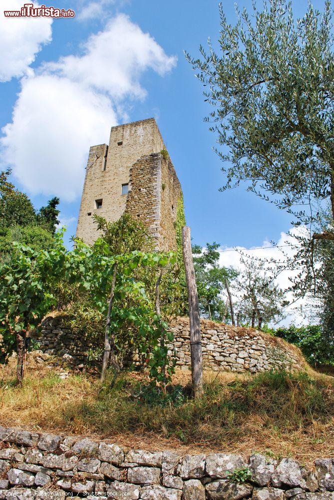 Immagine Un'antica torre fra i vigneti delle colline del Chianti nei pressi di Gaiole in Chianti, Toscana - © Fabio Caironi / Shutterstock.com