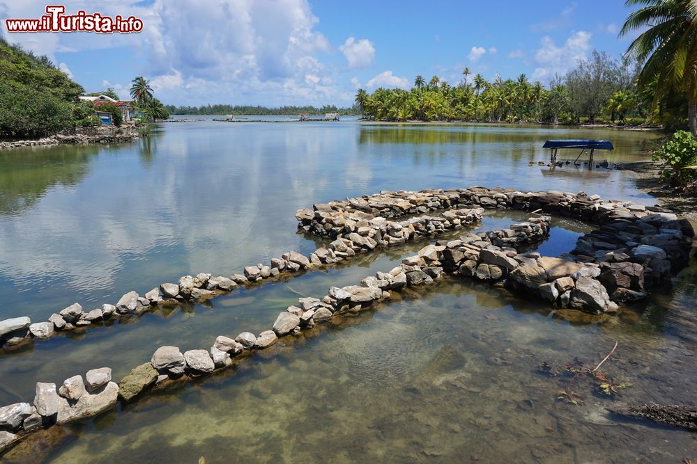 Immagine Un'antica trappola per pesci fatta con pietre sull'isola di Huahine, Polinesia Francese: in base alle tipiche tradizioni polinesiane questo sistema di pesca viene reliazzato nelle acque fra lago e oceano.