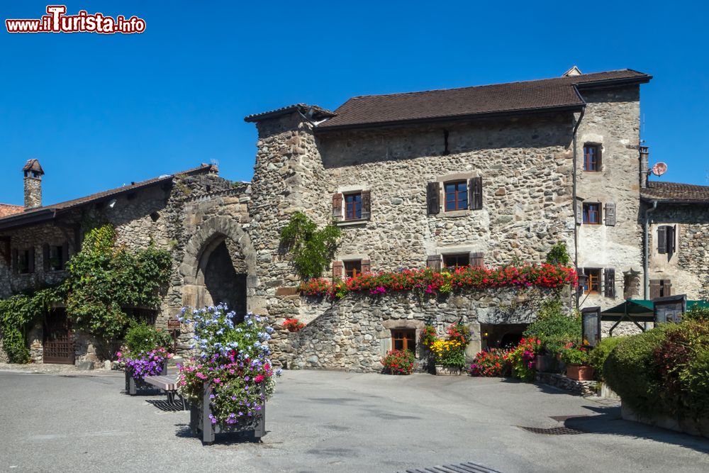Immagine Antiche case in pietra nel borgo francese di Yvoire, località della regione Alvernia-Rodano-Alpi.