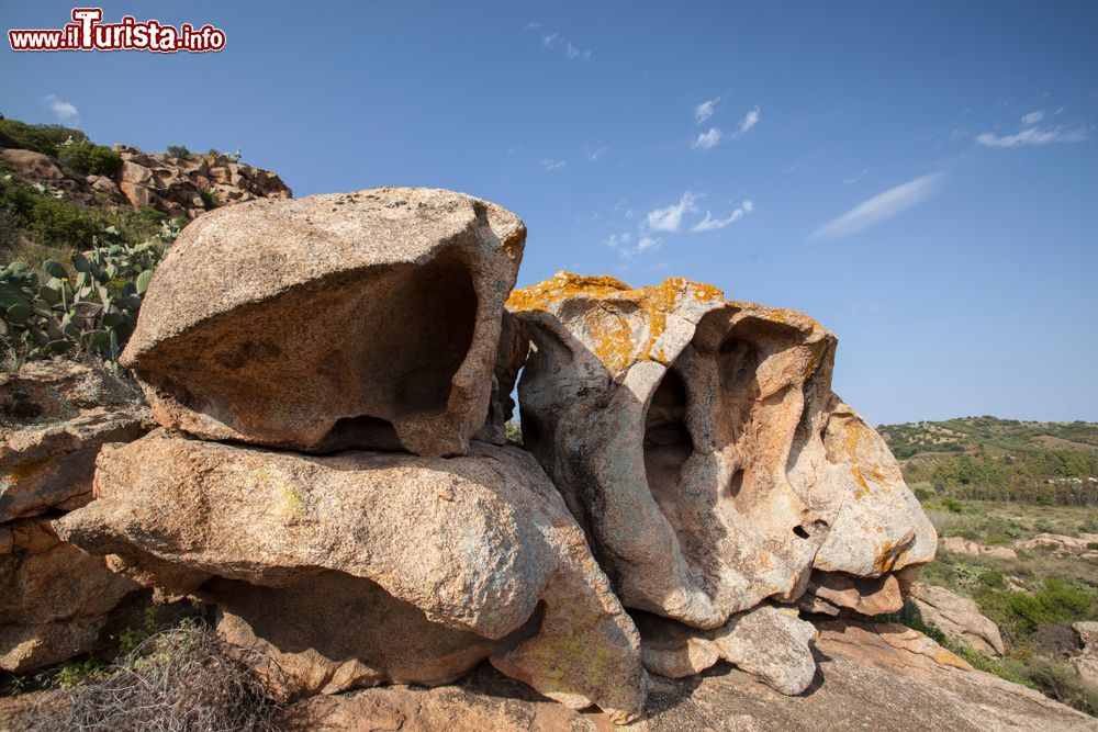 Immagine Antiche tombe Domus de Janas nel territorio di Lotzorai in Sardegna