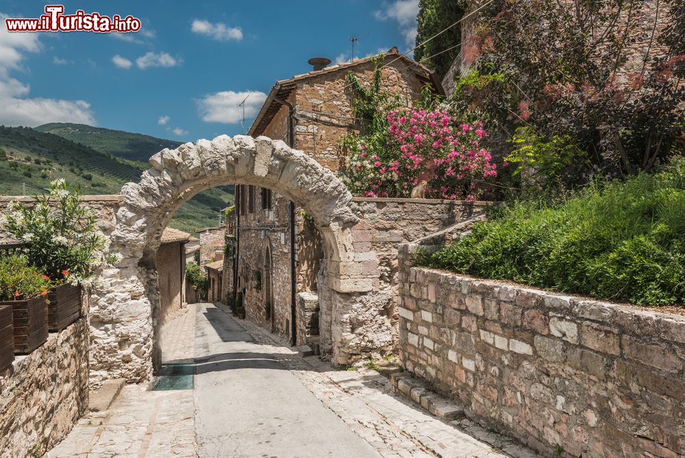 Immagine Antico arco in pietra a Spello, Umbria. A fare da cornice una ricca vegetazione fiorita.