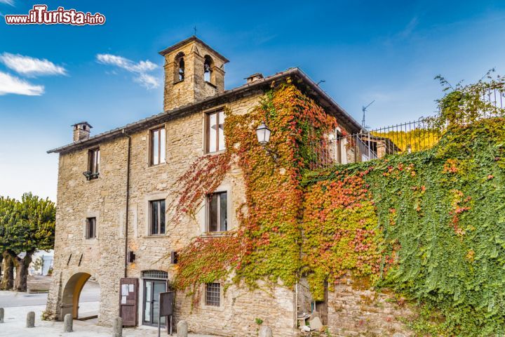Immagine Antico edificio medievale a Palazzuolo sul Senio, Toscana, ricoperto di edera con foliage autunnale - © GoneWithTheWind / Shutterstock.com