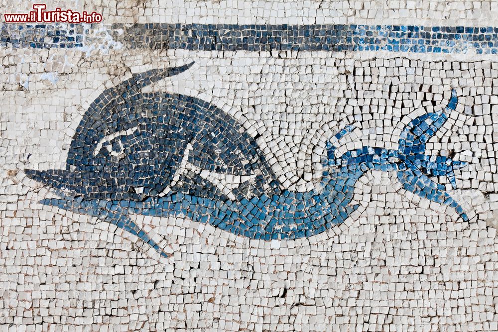 Immagine Antico mosaico di un pesce blu trovato sull'isola di Vis, mar Adriatico, Croazia.
 