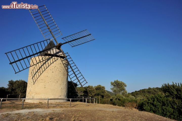 Immagine Mulino a Vento sulle isole Hyeres: siamo in quella più occidentale, Porquerolles - © Petra Christen / shutterstock.com