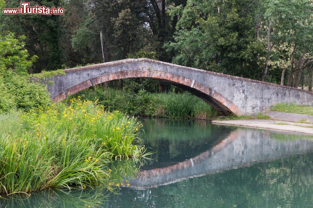 Immagine L'antico ponte del Principe sul Fiumetto nel parco della Versilia, Marina di Pietrasanta (Toscana).