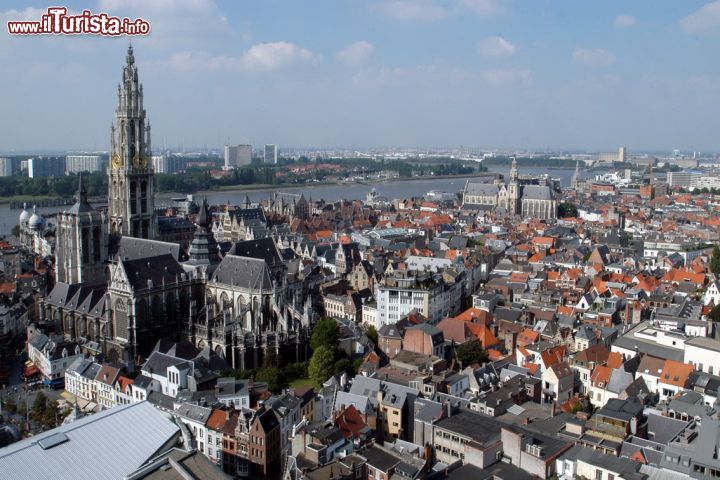 Immagine Anversa, Belgio: una veduta panoramica sulla città, dove si distingue la Cattedrale di Nostra Signora e, sullo sfondo, il fiume Schelda - Foto © Antwerpen Toerisme & Congres