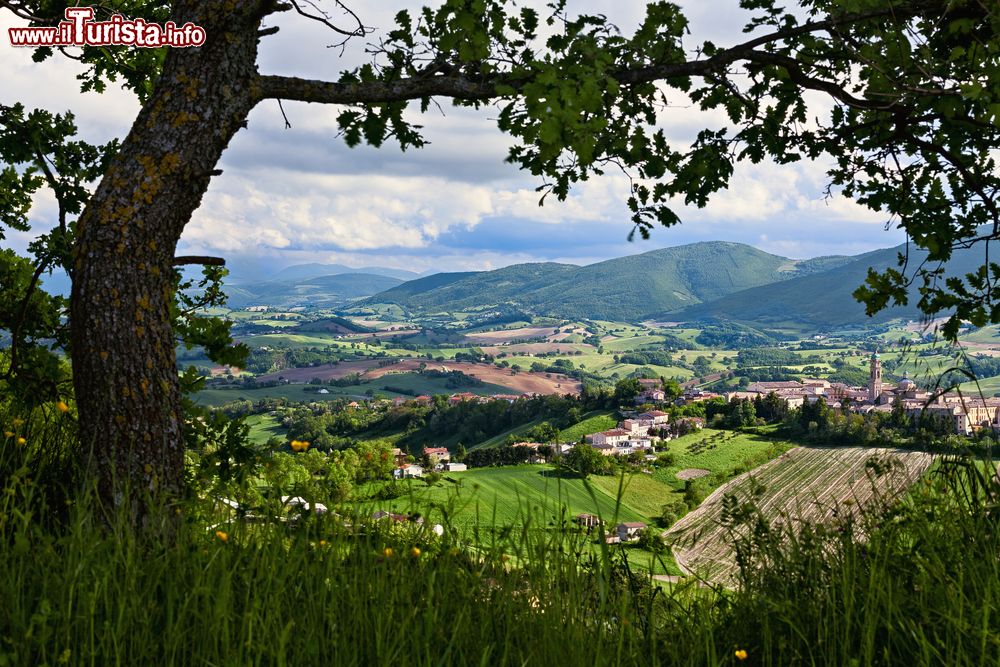 Immagine Apiro, il borgo nelle Marche ai piedi del Monte San Vicino