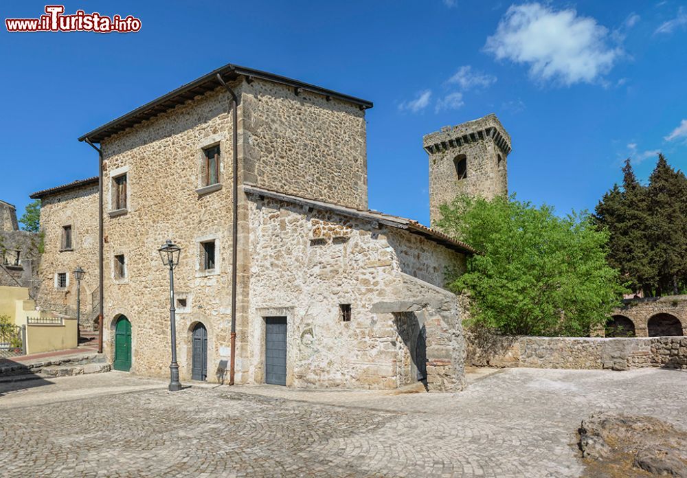 Immagine Aquino e la casa di San Tommaso, Lazio. Sullo sfondo la torre del Castello dei Conti Aquino - ©  www.aquinoturismo.it
