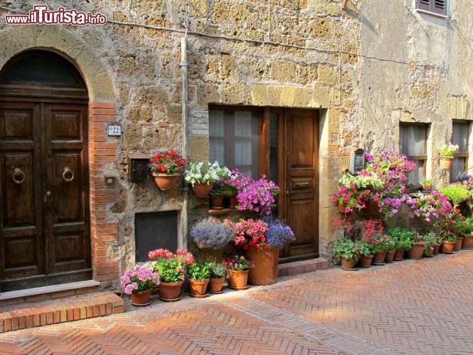 Immagine Architettura civile a Sovana, Toscana. Il contrasto fra il tufo utilizzato per costruire gli edifici, il cotto della pavimentazione e i fiori che abbelliscono i vicoli crea un'atmosfera d'altri tempi in questo bel borgo toscano - © cristalvi / Shutterstock.com