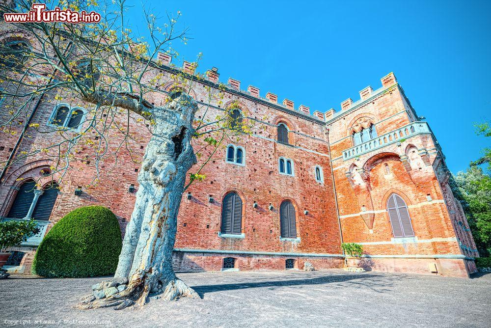 Immagine Architettura del castello di Brolio a Gaiole in Chianti, provincia di Siena, Toscana - © arkanto / Shutterstock.com