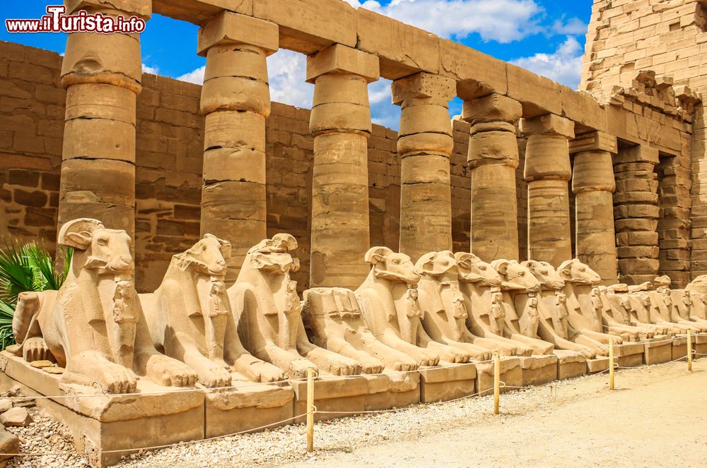 Le foto di cosa vedere e visitare a Luxor