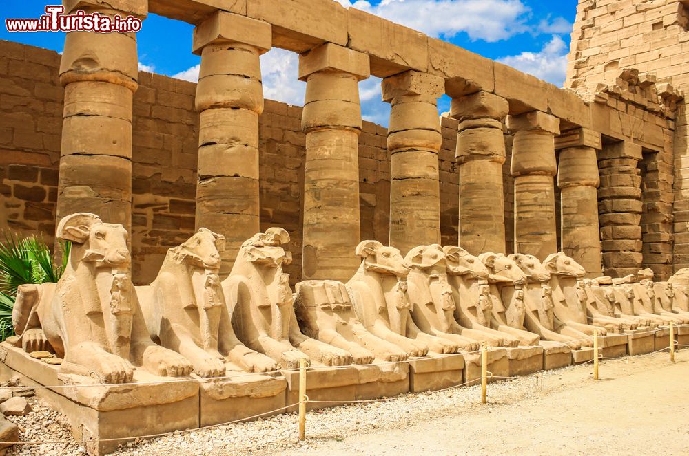 Immagine Le sfingi dcon la testa d'ariete presso i Templi di Karnak a Luxor.