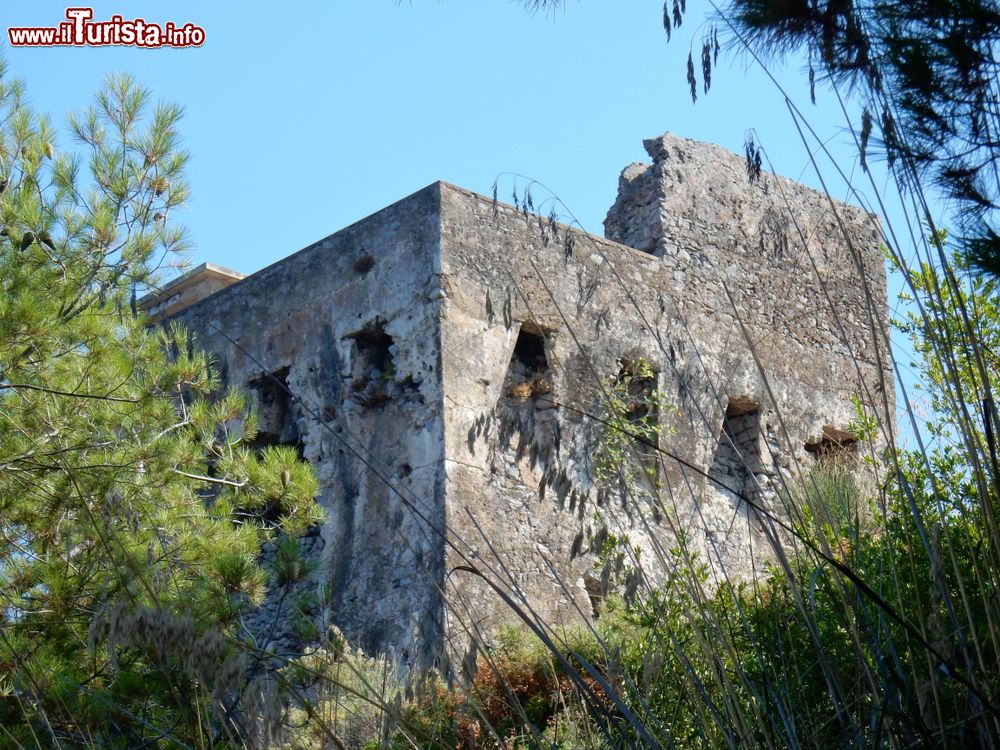 Immagine Architettura della Torre di Capobianco a Sapri, provincia di Salerno (Campania).
