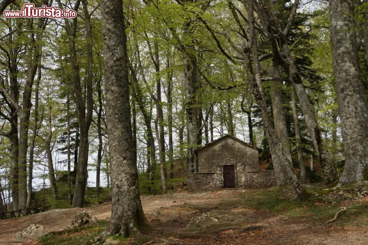 Immagine Architettura in armonia con la natura al santuario della Verna, Toscana - © 188183165 / Shutterstock.com