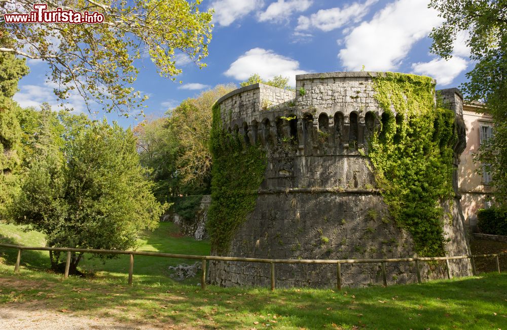 Le foto di cosa vedere e visitare a Gradisca d'Isonzo