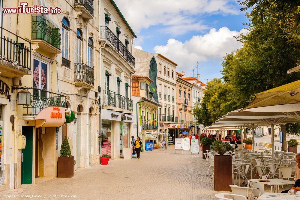 Immagine Architettura nella piazza principale di Alcobaca, Portogallo. Secondo alcuni, il nome di questa cittadina deriverebbe dai fiumi Alcoa e Baca: il paese sorge infatti nelle valli in cui scorrono i due corsi d'acqua - © Anton_Ivanov / Shutterstock.com