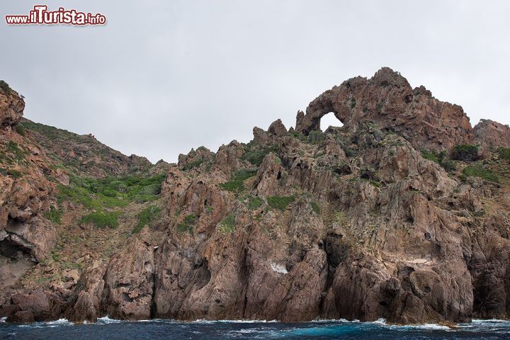 Immagine Un arco naturale tra le rocce di Scandola, Corsica - hanno le forme più strane le rocce delle scogliere di Scandola, scolpite nel tempo dal processo erosivo dell'acqua. A popolare questo ecosistema davvero unico, sono specie di flora e fauna che risiedono tra le gole e le faglie di rocca rossastra e nelle profondità del mare. Con enorme rammarico di tutti gli appassionati di diving tuttavia, le attività subacquee nella riserva sono assolutamente proibite, sia per tutelare l'ambiente e sia per la natura selvaggia che compone scogliere e fondali. 