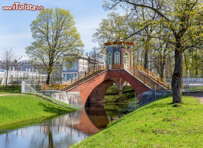 Immagine Passeggiata nell'area verde dell'Alexander Park di Pushkin, in Russia - © Anna Serbolina / Shutterstock.com
