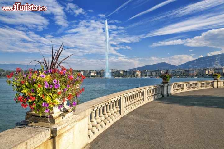 Immagine L'argine del lago di Ginevra, Svizzera. Questo specchio d'acqua dalla forma allungata, tipica dei laghi glaciali subalpini, è il maggiore della Svizzera e dell'Europa occidentale. Si trova sul confine franco-svizzero e il suo vero nome è lago Lemano