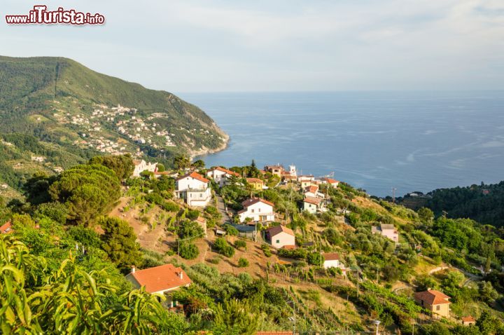 Le foto di cosa vedere e visitare a Arma di Taggia