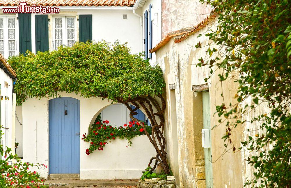 Immagine Ars-en-Ré, pittoresco borgo francese a Ile-de-Ré. Passeggiando per le vie raggomitolate di questa cittadina dal cuore medievale se ne possono scoprire splendidi scorci panoramici - © Pack-Shot / Shutterstock.com