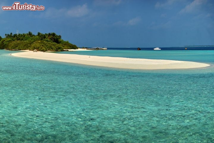 Immagine Asdu, Maldive: la lingua di sabbia bianca della spiaggia di questa piccola isola. Ci troviamo nell'atollo di Male Nord, a circa 3 ore di barca dalla capitale.