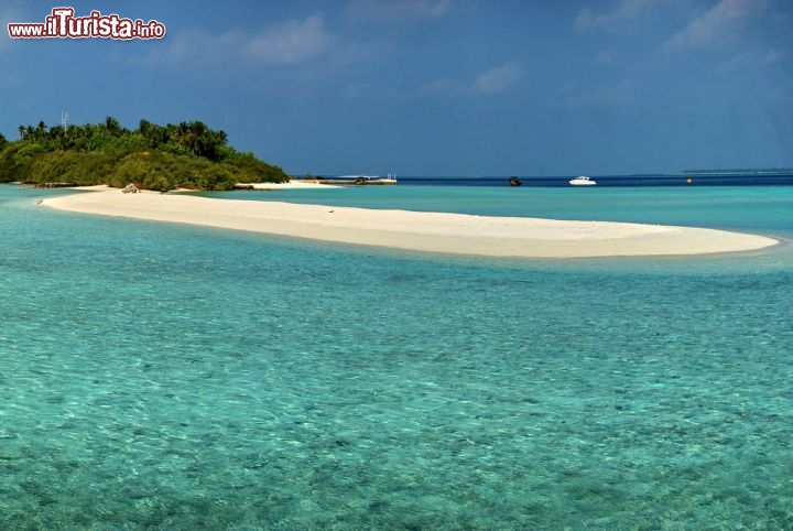 Immagine Asdu, Maldive: la lingua di sabbia bianca della spiaggia di questa piccola isola. Ci troviamo nell'atollo di Male Nord, a circa 3 ore di barca dalla capitale.