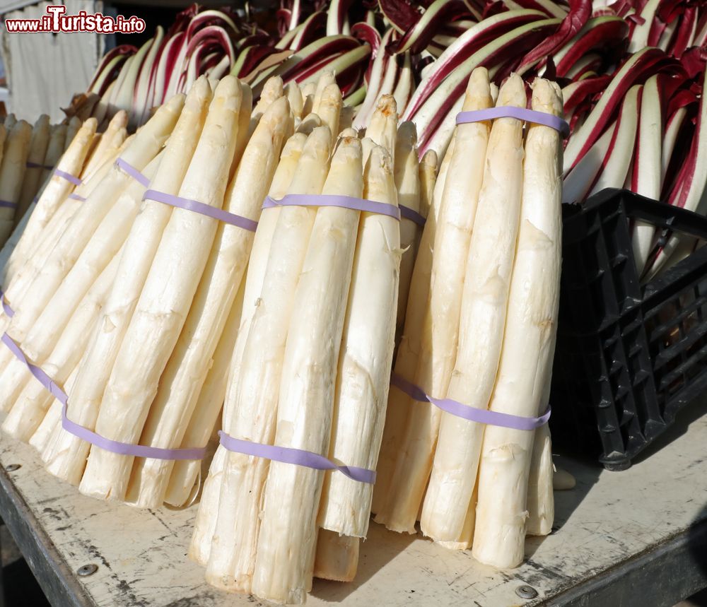 Immagine Asparagi bianchi e radicchio, alcuni dei prodotti tipici della zona