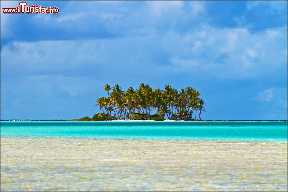 Immagine Atollo di Rangiroa, isole delle Tuamotu, Polinesia Francese: una splendida immagine di mare, palme e spiaggia.
