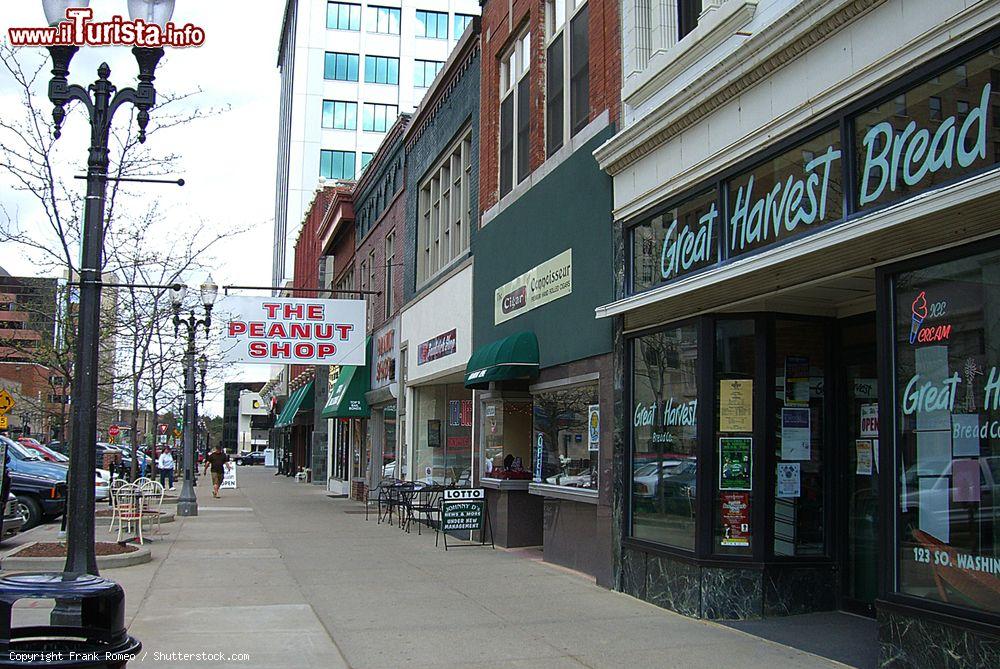 Immagine Attività commerciali e negozi nel centro di Lansing, Michigan (USA). E' la quinta più grande città dello stato - © Frank Romeo / Shutterstock.com