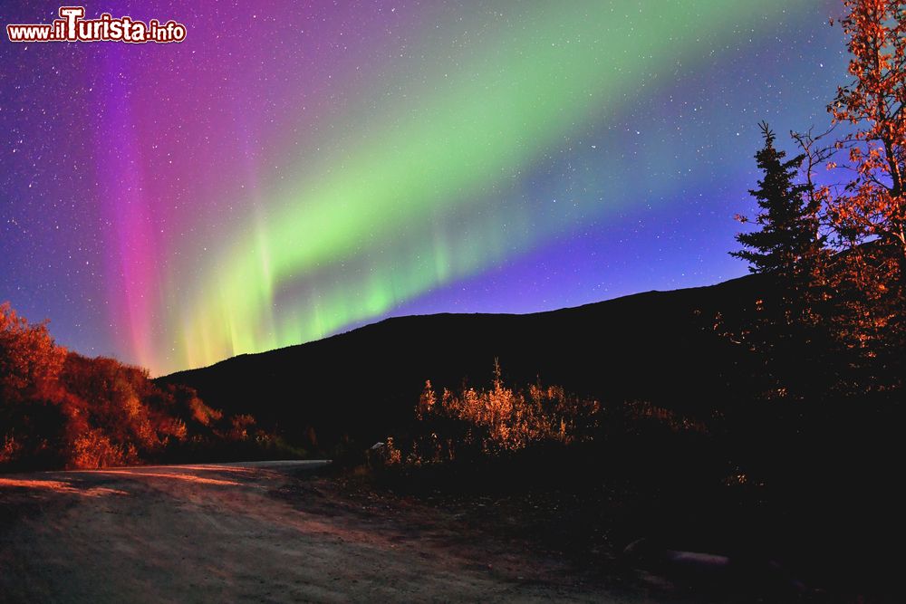 Immagine L'aurora boreale nel Parco Nazionali di Denali, Alaska. Quest'area di oltre 24 mila chilometri quadrati include tundre, foreste di abeti e ghiacciai.