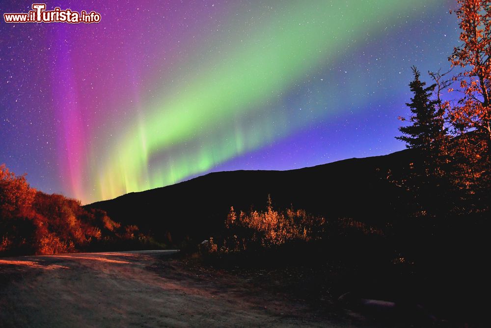 Immagine L'aurora boreale nel Parco Nazionali di Denali, Alaska. Quest'area di oltre 24 mila chilometri quadrati include tundre, foreste di abeti e ghiacciai.