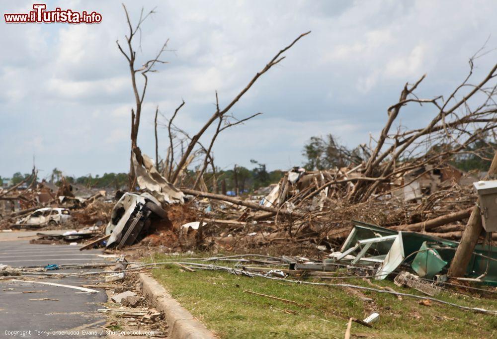 Immagine Auto, alberi e oggetti distrutti dopo un tornado nella città di Tuscaloosa, Alabama, USA - © Terry Underwood Evans / Shutterstock.com