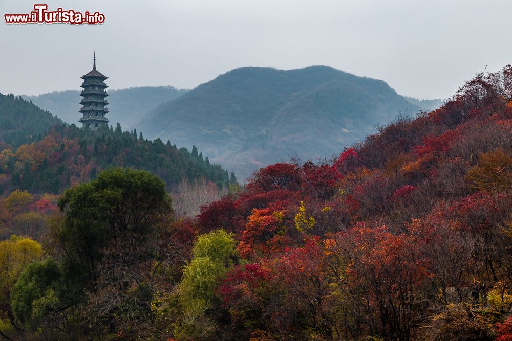 Immagine Autunno a Hong Ye Gu nei pressi di Jinan, Cina. Questa parco privato comprende montagne e laghi di grande bellezza oltre a un santuario di uccelli. 