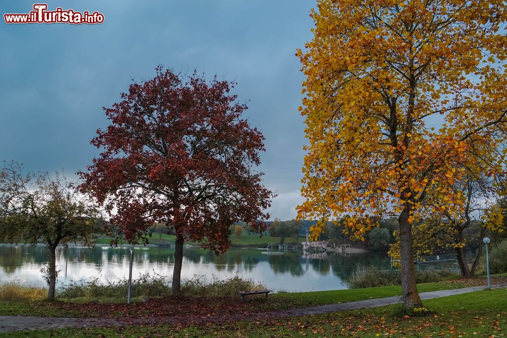 Immagine Autunno sul Lago di Costanza a Salem, Germania