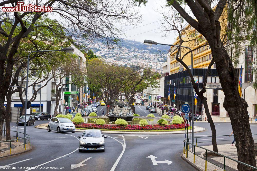 Immagine Avenida Arriaga, nel centro di Funchal, capoluogo dell'arcipelago di Madeira (Portogallo) - foto © katatonia82 / Shutterstock.com