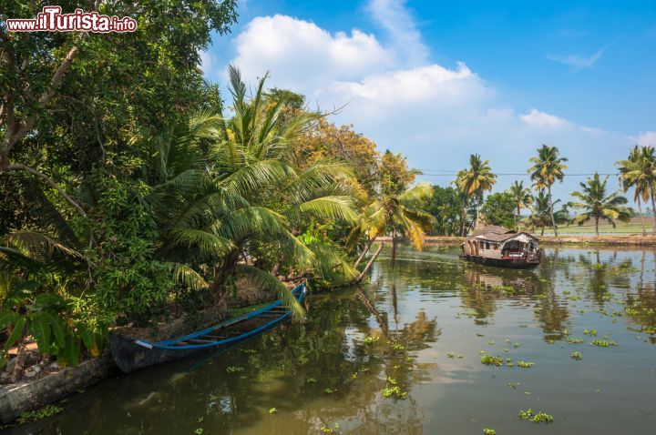 Immagine Le famose backwaters di Alleppey e, più in generale dello stato del Kerala, India, occupano una vasta porzione del territorio. Le acque navigabili sono utilizzate per gli spostamenti da una città all'altra - foto © javarman / Shutterstock.com